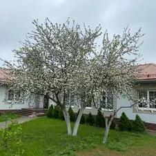 Картинка отзыва